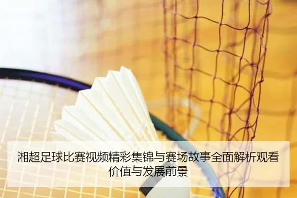 湘超足球比赛视频精彩集锦与赛场故事全面解析观看价值与发展前景