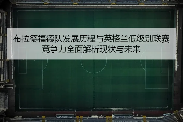 bu-la-de-fu-de-dui-fa-zhan-li-cheng-yu-ying-ge-lan-di-ji-bie-lian-sai-jing-zheng-li-quan-mian-jie-xi-xian-zhuang-yu-wei-2-396.jpg